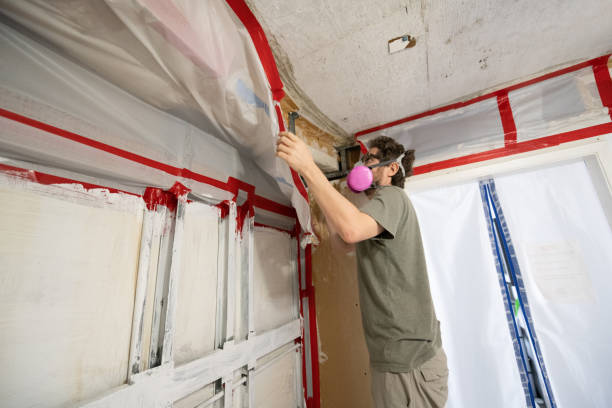 Best Airborne Mold Testing  in Lanai City, HI