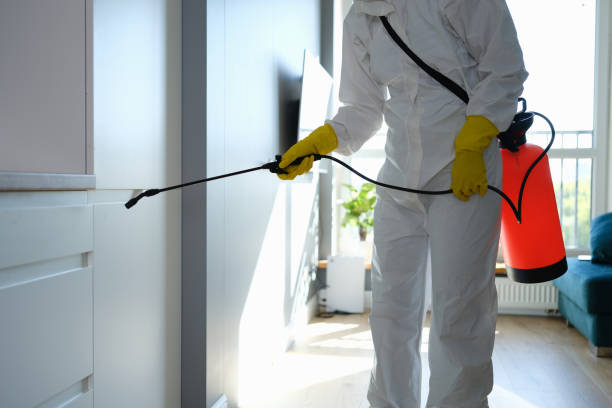 Environmental Consulting for Mold Prevention in Lanai City, HI