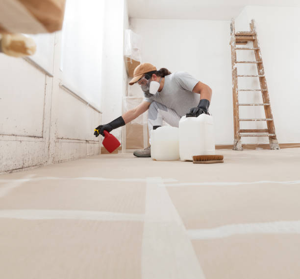 Best Environmental Consulting for Mold Prevention  in Lanai City, HI